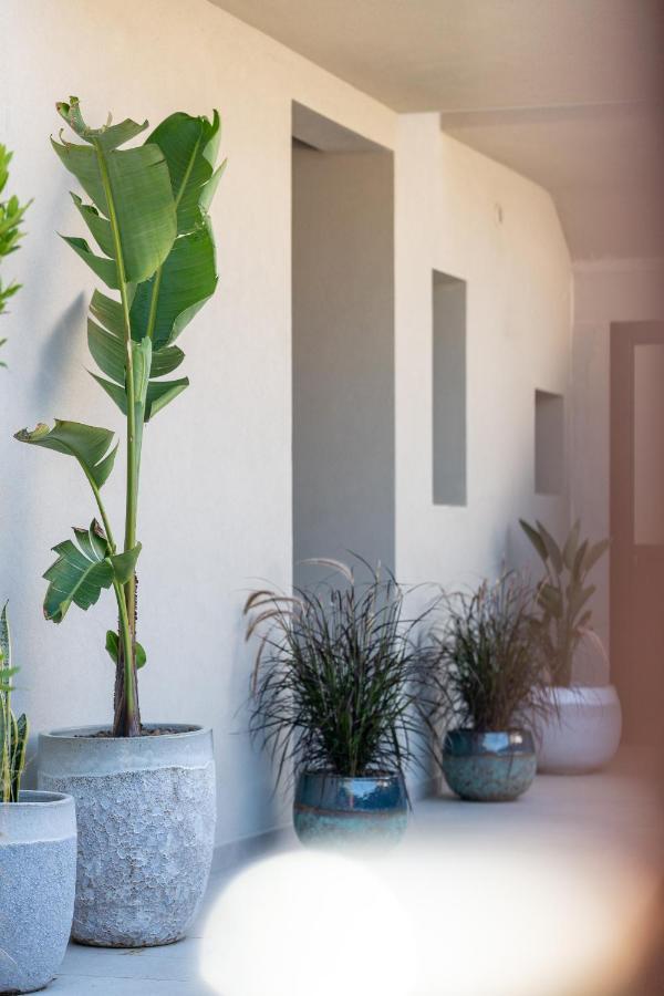 Villa Ilma Luxury Rooms Arzachena Exterior photo